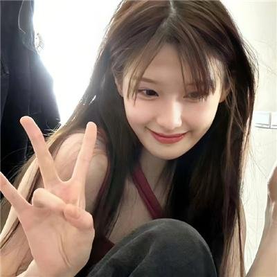 科搜研之女2022